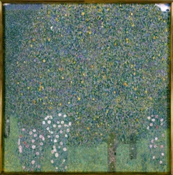 Rosiers sous les arbres